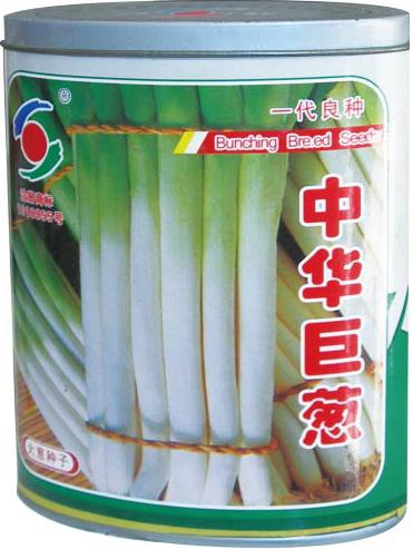 中华巨葱——大葱